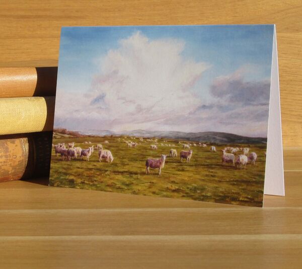 'Surprised Sheep' - Llansawel, Carmarthenshire. (L4) Painting of sheep on a hilltop
