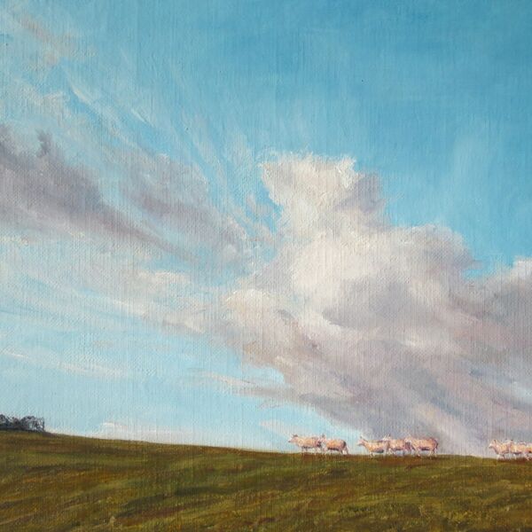 'Skylined Sheep' - Llansawel, Carmarthenshire £125 (+p&p) Painting of sheep walking along skyline.