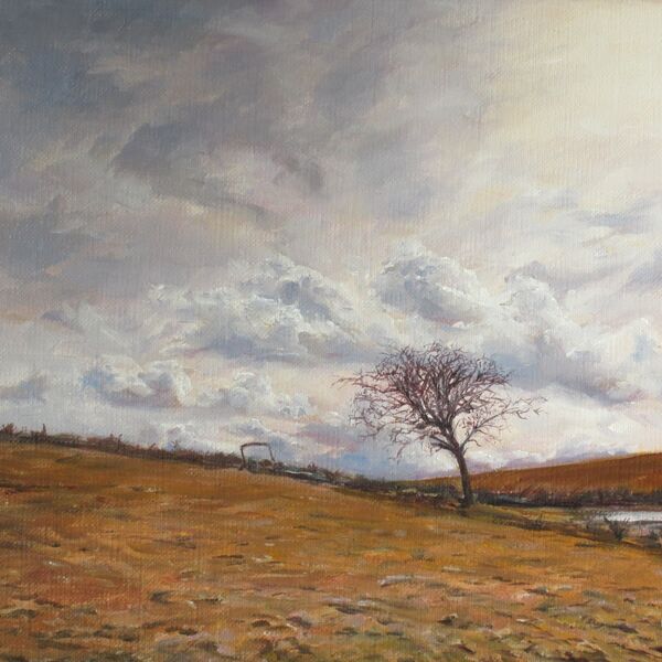 'The Thorn and the Old Machine'- Llansawel, Carmarthenshire. £125 (+p&p) Painting of a thorn tree and abandoned farm machine on a hill top.