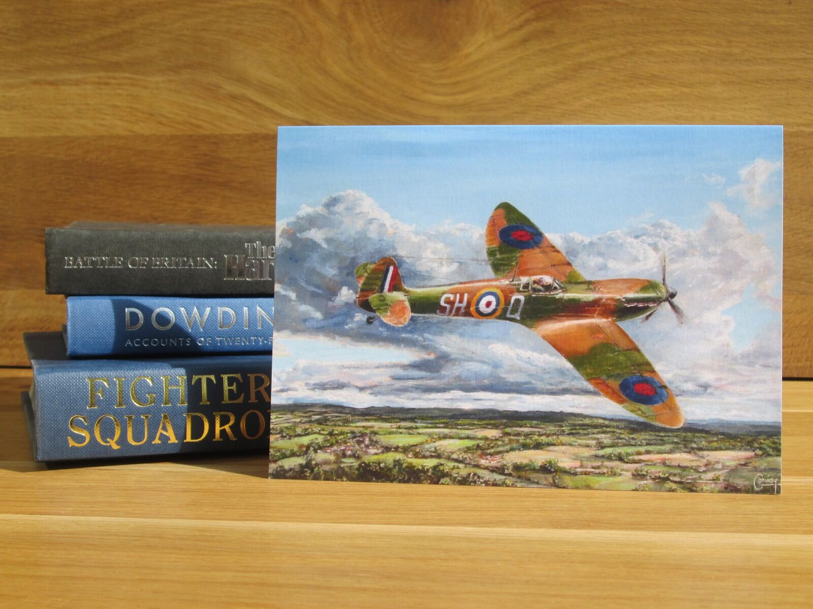 Painting of a Spitfire flying low over the North Downs.