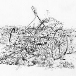 The Farm Machine in the Nettles- Will it Ever be Used Again?