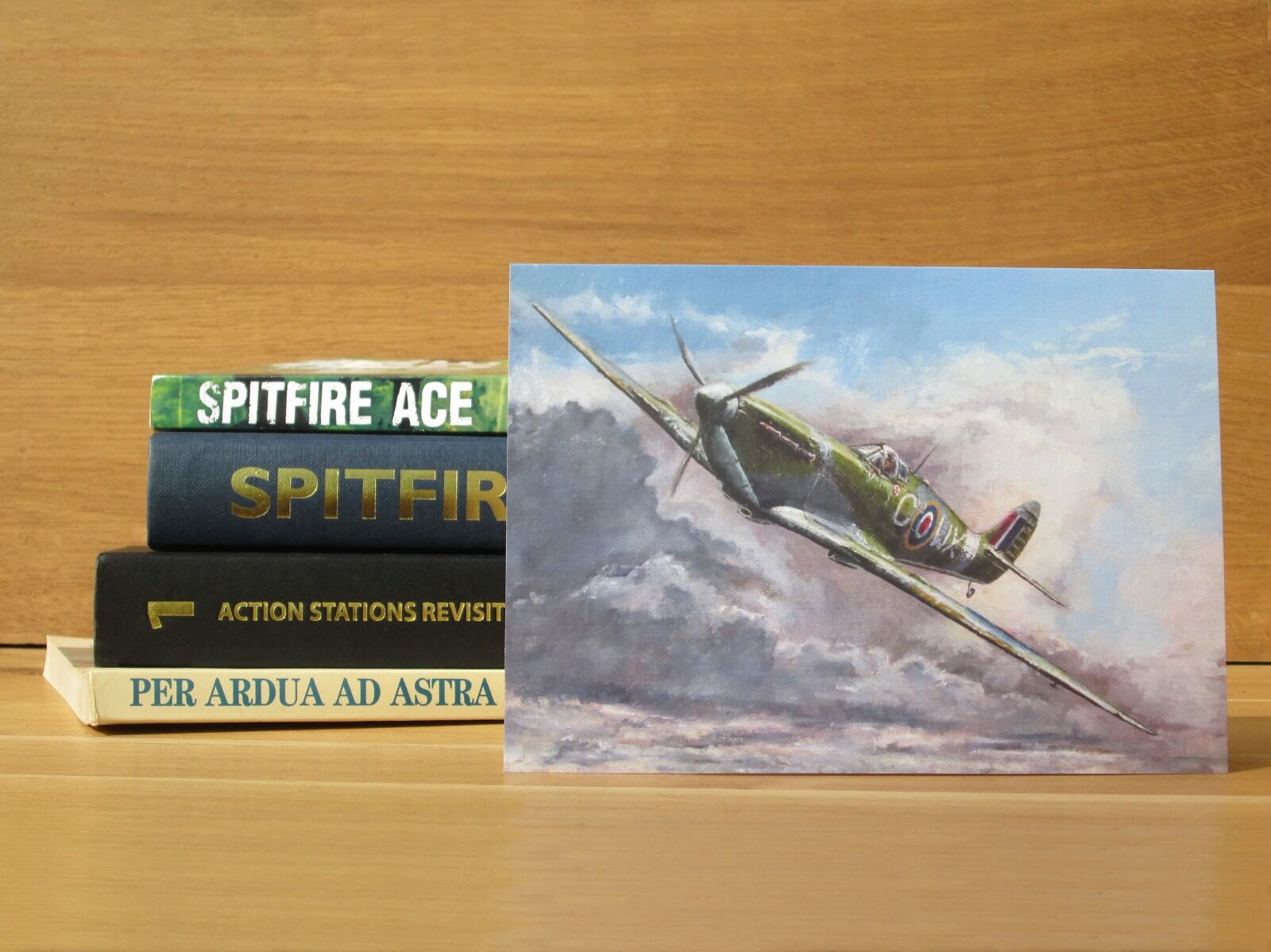Painting of two Mark V Spitfires, flying low over the Norfolk Braods