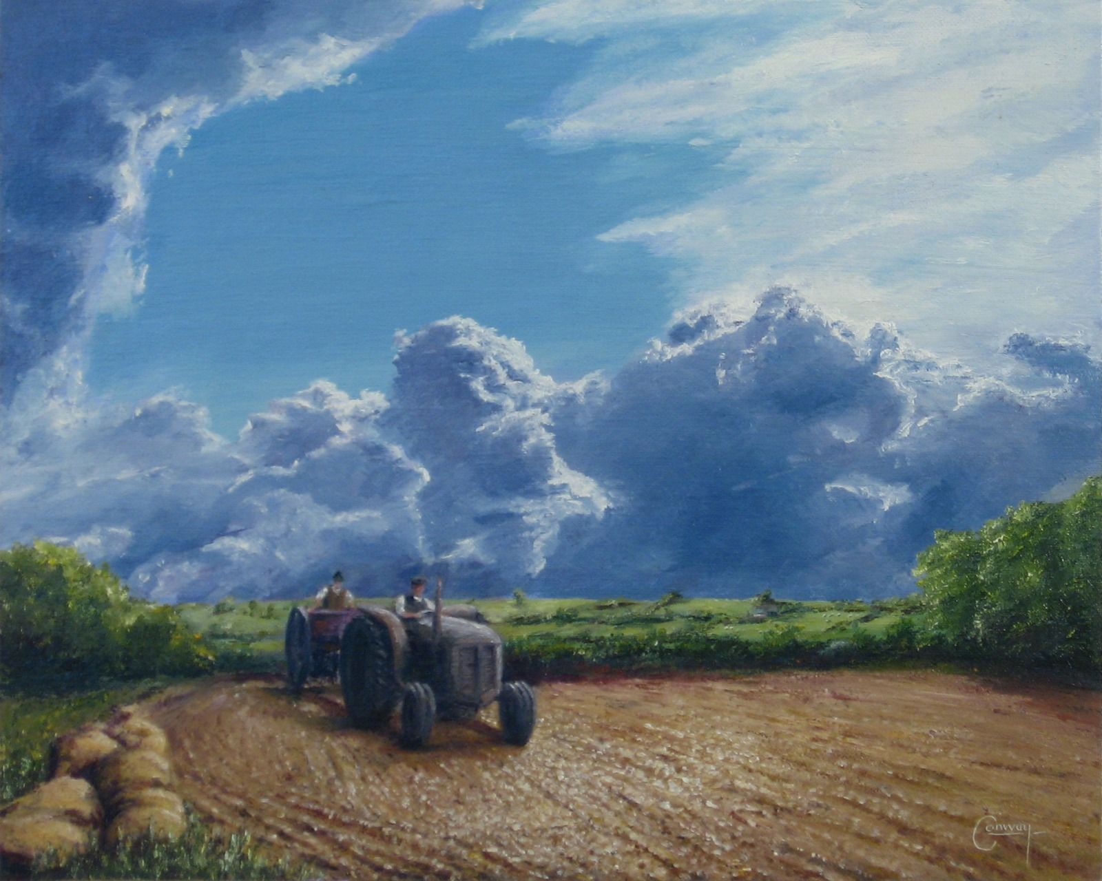 Drilling corn with Ferguson TE20 tractor, near Llandeilo Carmarthenshire