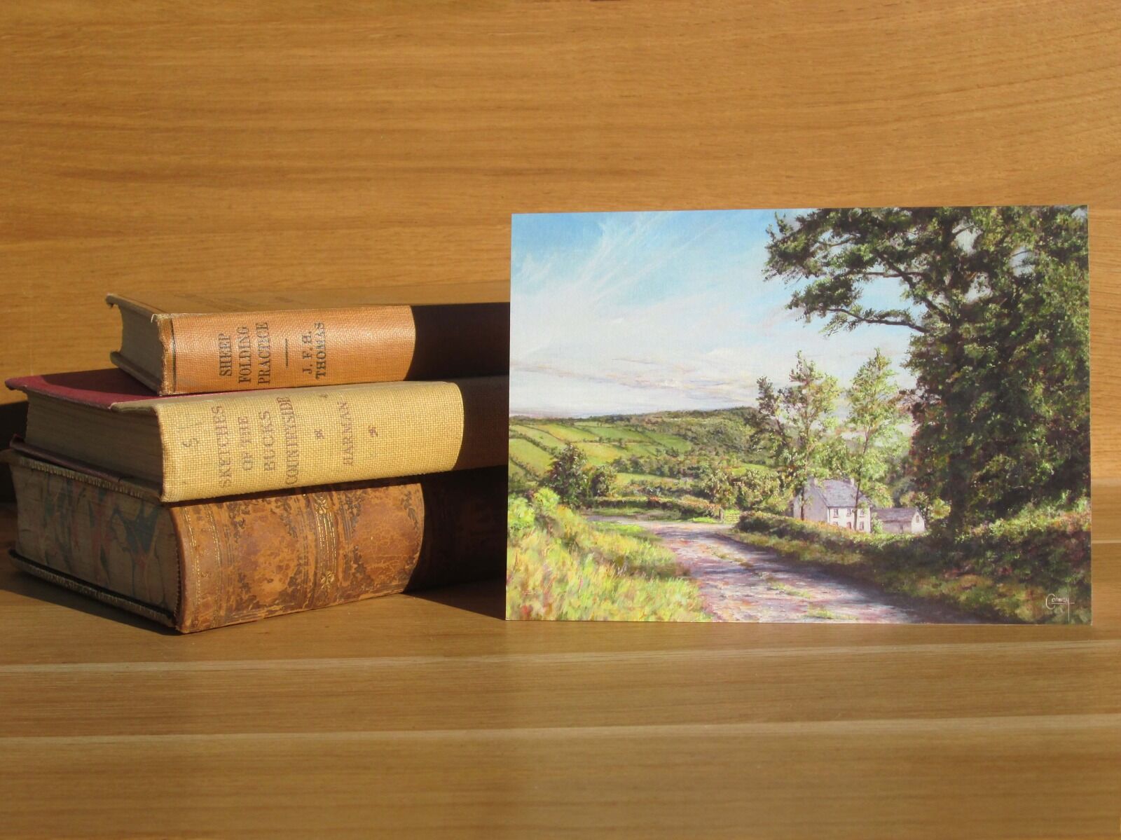 Painting of a welsh farmhouse beside a lane.