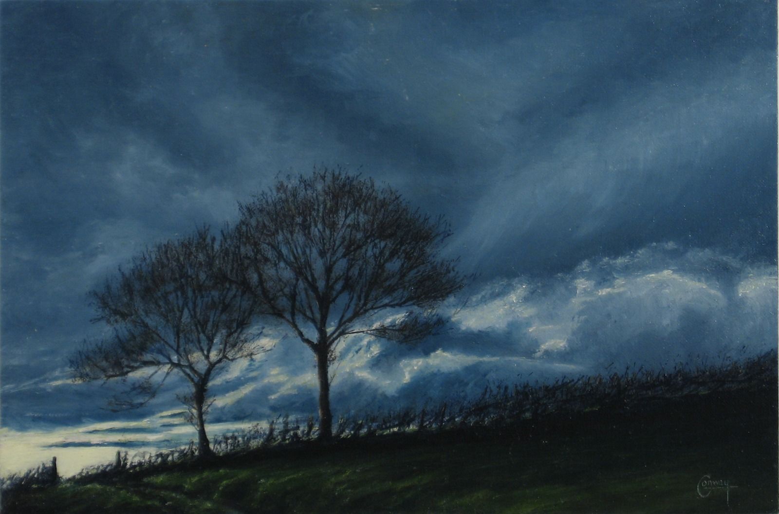 Hedge against Sky - Llansawel, Carmarthenshire