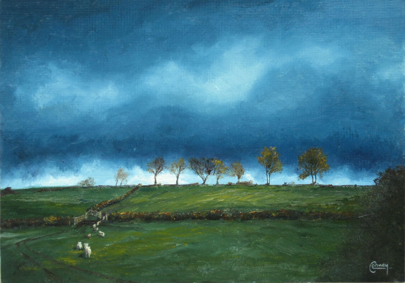'Sky and Sheep Looking North' - Llansawel, Carmarthenshire