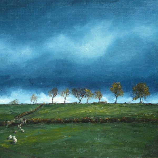 'Sky and Sheep, Looking North' - Llansawel, Carmarthenshire 'Sky and Sheep Looking North' - Llansawel, Carmarthenshire