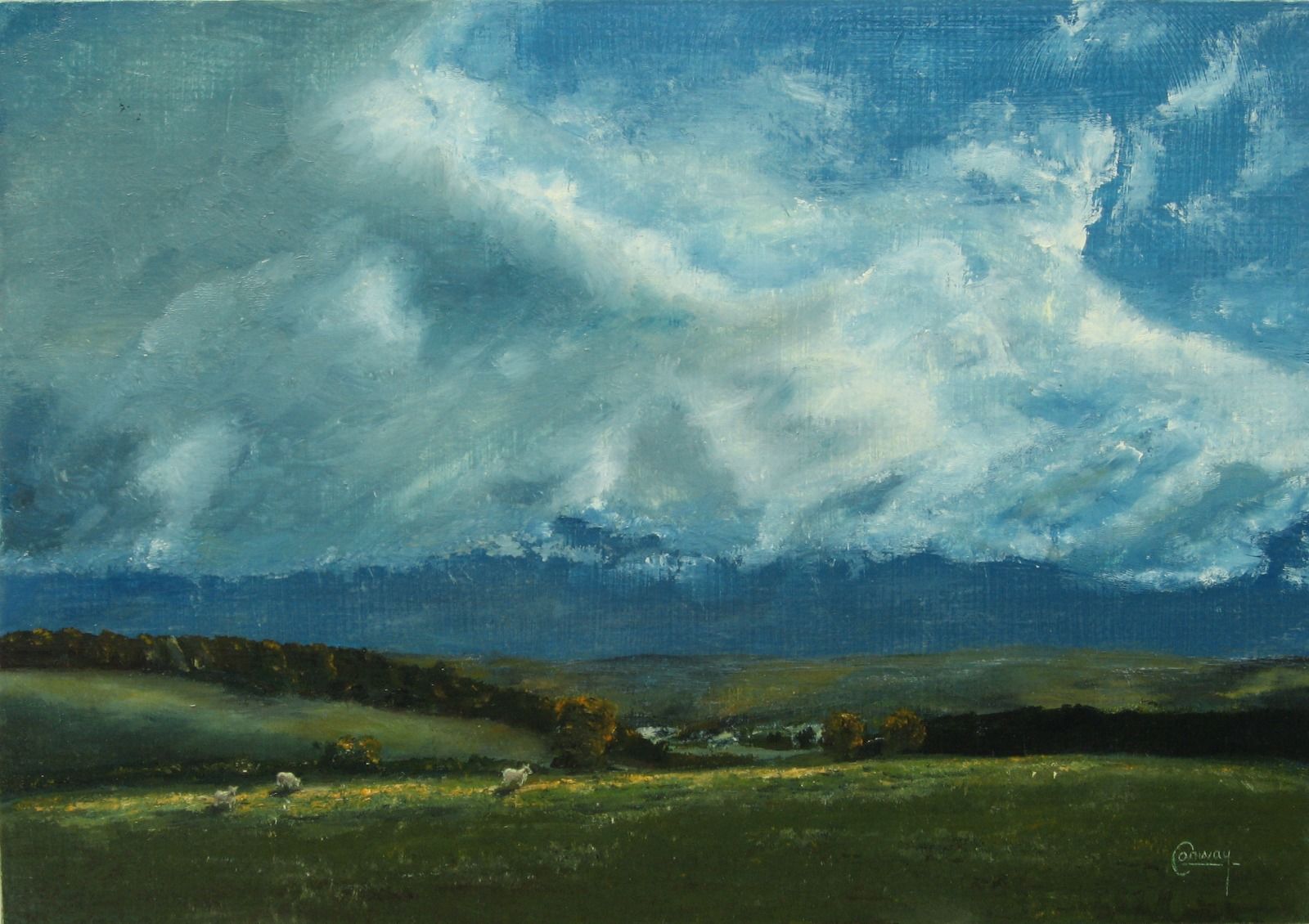'Sky and Sheep, Looking South' - Llansawel, Carmarthenshire