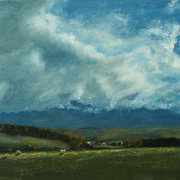 'Sky and Sheep, Looking South' - Llansawel, Carmarthenshire