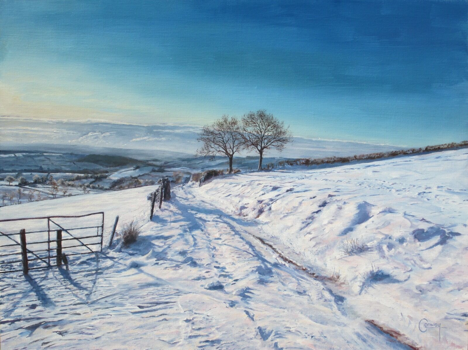 Trees on a snow covered hilltop.