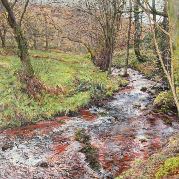 'The Winter Stream' - Myddfai, Carmarthenshire. SOLD Painting of a stream amongst winter trees.