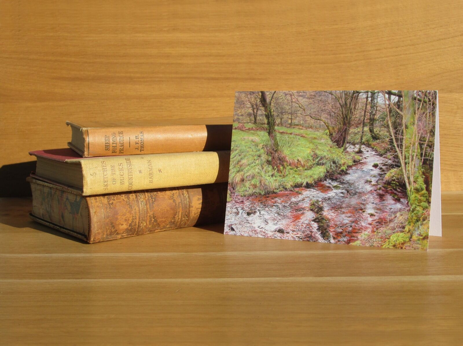 Painting of a stream in a wood