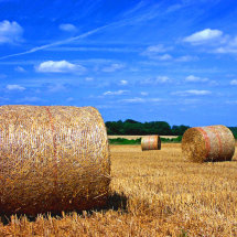 Hay Bales, Meon Valley Hampshire.