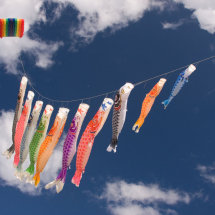 'Fish' Kites.