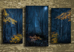 2020-2021 Triptych Competition - PDI only