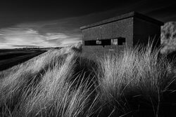 05 Look out - Highly Commended - Adrian Gidney