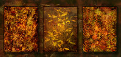 07 Autumn Highly Commended Ade Gidney