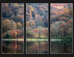 09 Autumn at Rydal Commended Jane Gilmore