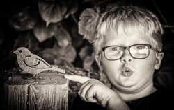 10 C Watch the birdie - Wayne Hockaday
