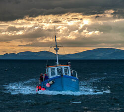 10 Homeward Bound - Commended - Wayne Hockaday