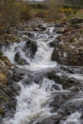 18 points - Babbling brook by Wayne Hockaday