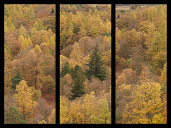 1 1st Autumn Colour - Ian McConnel