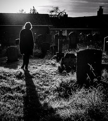 24 Mourning Sun 16pts Ian Cutts