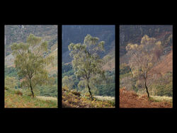 2 Joint 2nd Three Weeks - Ian McConnel