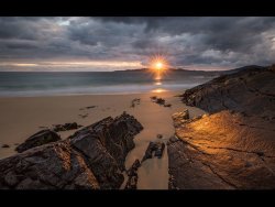 2nd equal Place - Harris Gold by Adrian Gidney