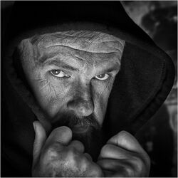 3 Menacing Gaze 3rd Fran Walding