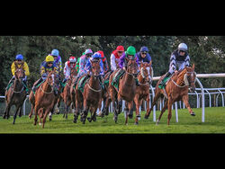 3rd equal Place - Full Gallop by Chris Wood