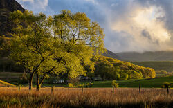 5 HC Evening Light - Adrian Gidney