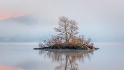 8 C Misty Dawn - Adrian Gidney