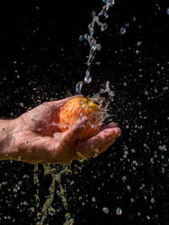 Apple by Chris Wood - Commended