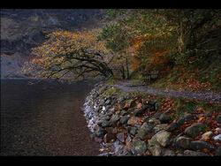 Autumn Highlights by Graham Harcombe 18pts
