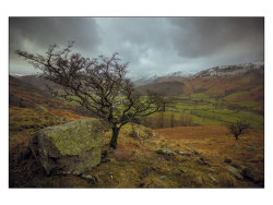 Between a rock & a hard place by Adrian Gidney - 3rd place