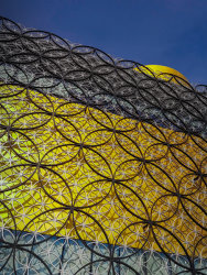 Birmingham library by Mary Thompson (18 points)