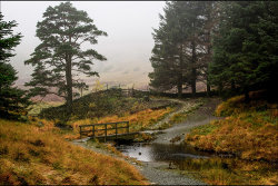 Blea Tarn 2 by Graham Harcombe - 3rd place