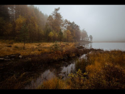 Blea Tarn by Adrian Gidney - 2nd place