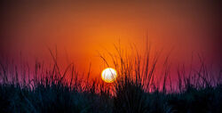 Botswana Sunset by Mike Kidd - Highly Commended