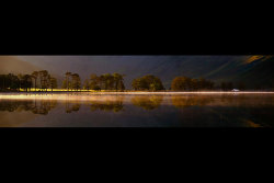Buttermere Pines by Rob Duncalf - Highly Commended