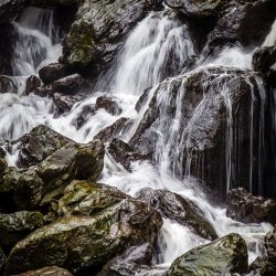 Cascade by Ann Healey (18 points)