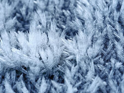 Cold Commended Ian McConnell