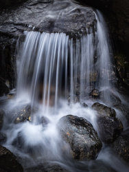 Commended - Cascade by Adrian Gidney