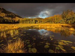 Commended - Harrop Tarn by Adrian Gidney
