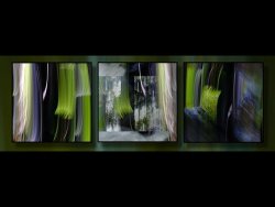 Commended - Tree Waves by Linda Duncalf