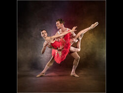 Dance Partners by Fran Walding 20 pts 1st place