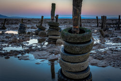 Dawn at Dubmill by Alan Wilson - Commended