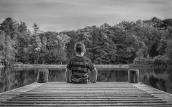 Enjoying the view by Jason Willis - Highly Commended