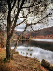 Ennerdale Swing by Ian Cutts Commended